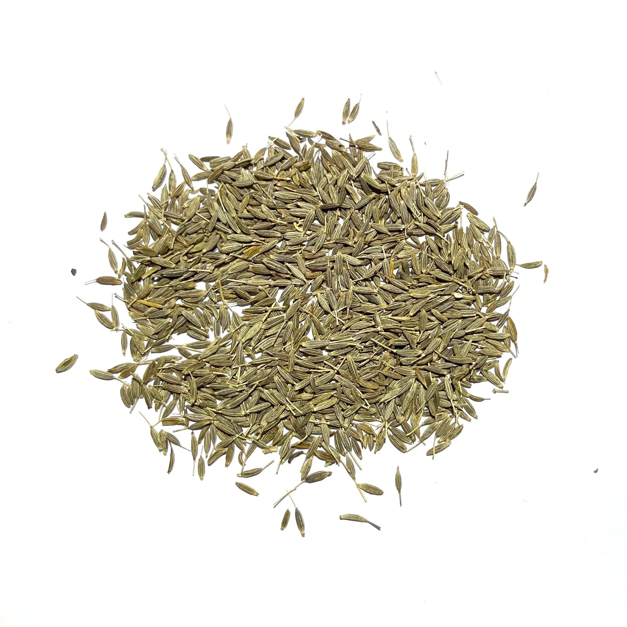Cumin Herb Seeds For Planting (Cuminum cyminum)