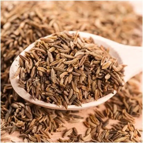 Cumin Herb Seeds For Planting (Cuminum cyminum)