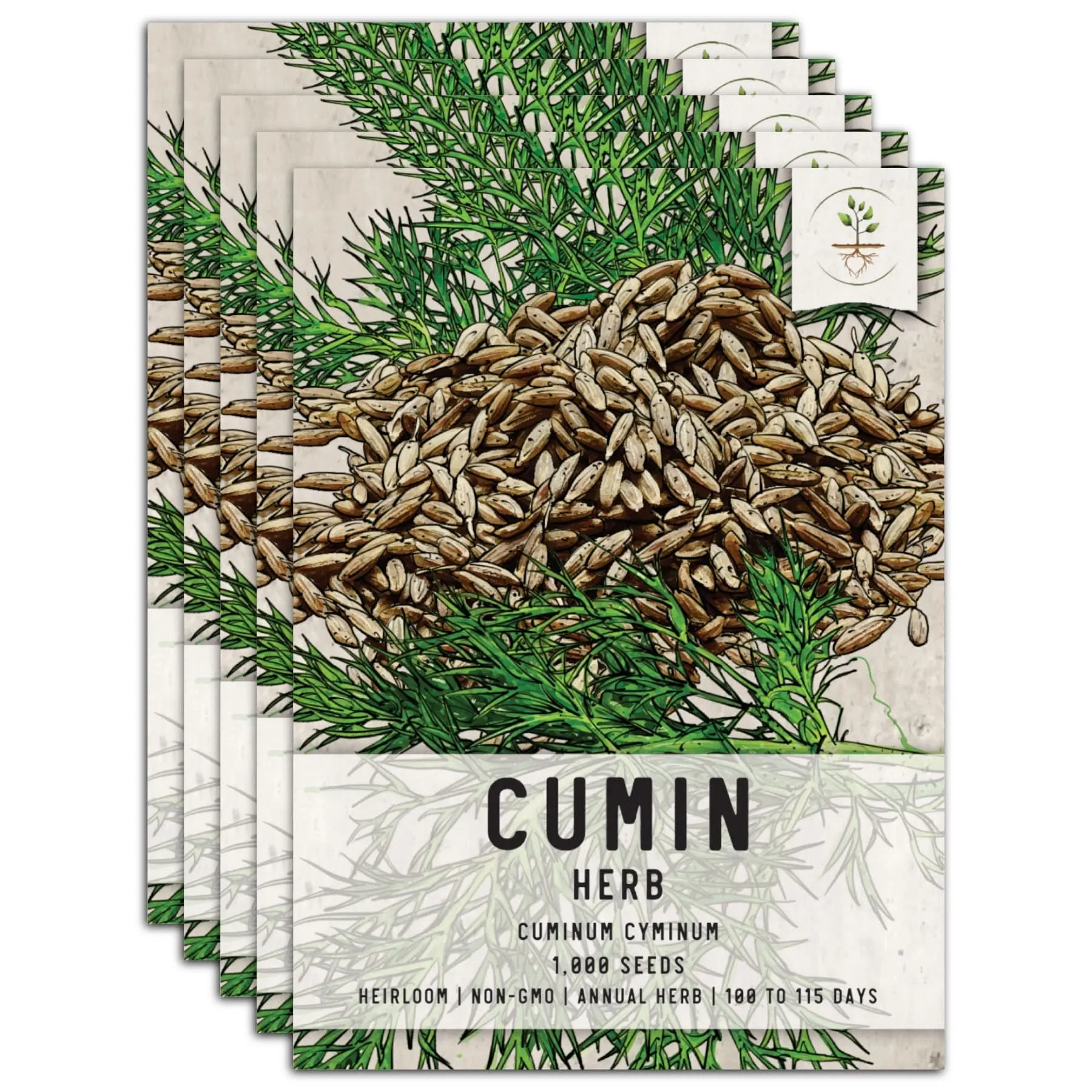 Cumin Herb Seeds For Planting (Cuminum cyminum)