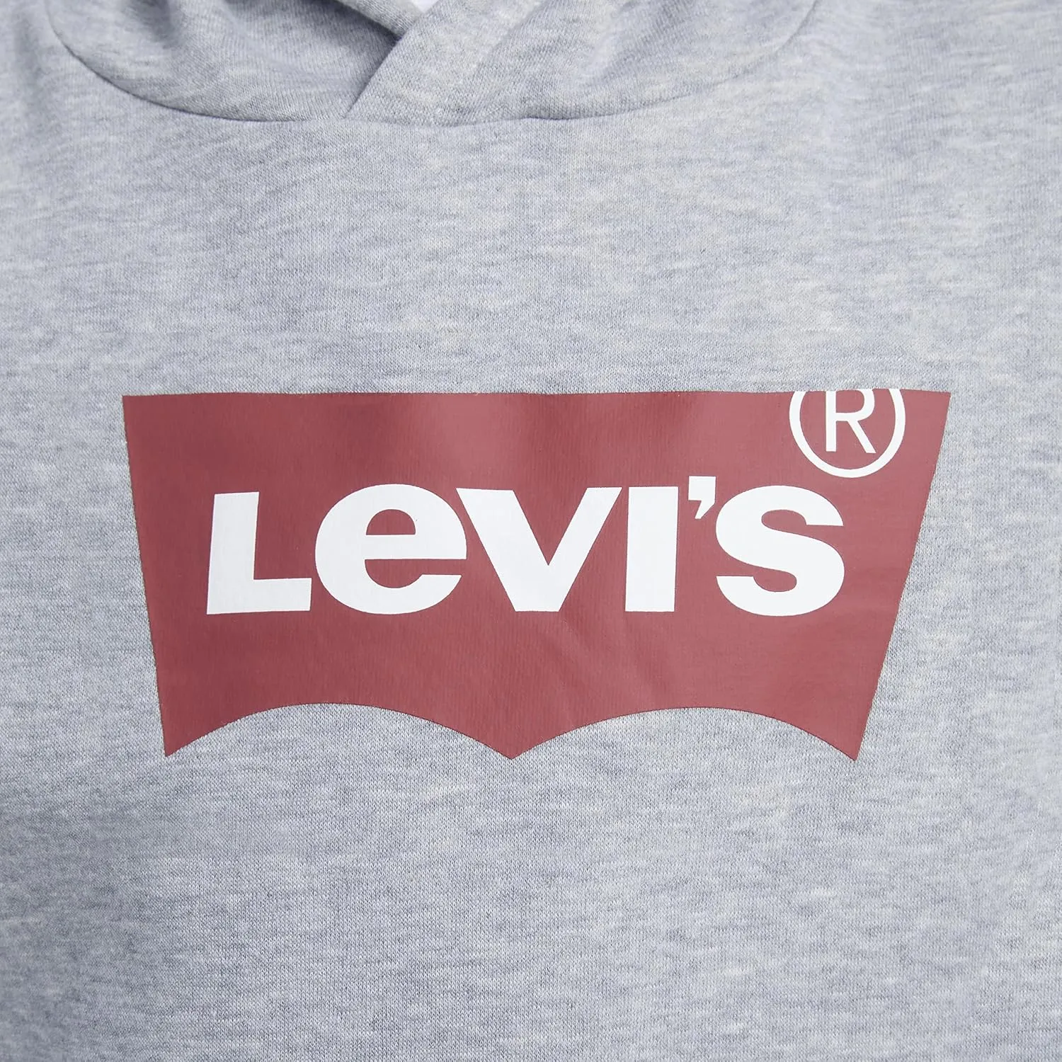 Levi's Boys' Graphic Pullover