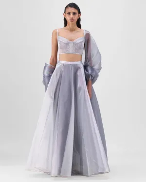 Steel Liquid Mesh Lehenga Set